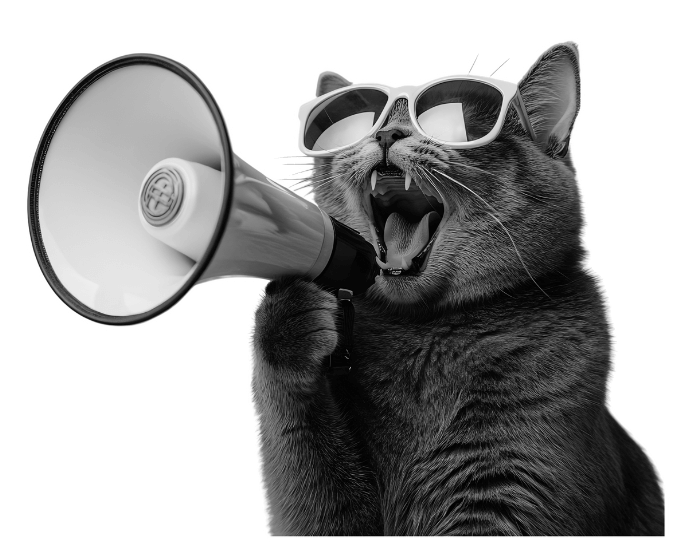 MAYAR Creative Cat
